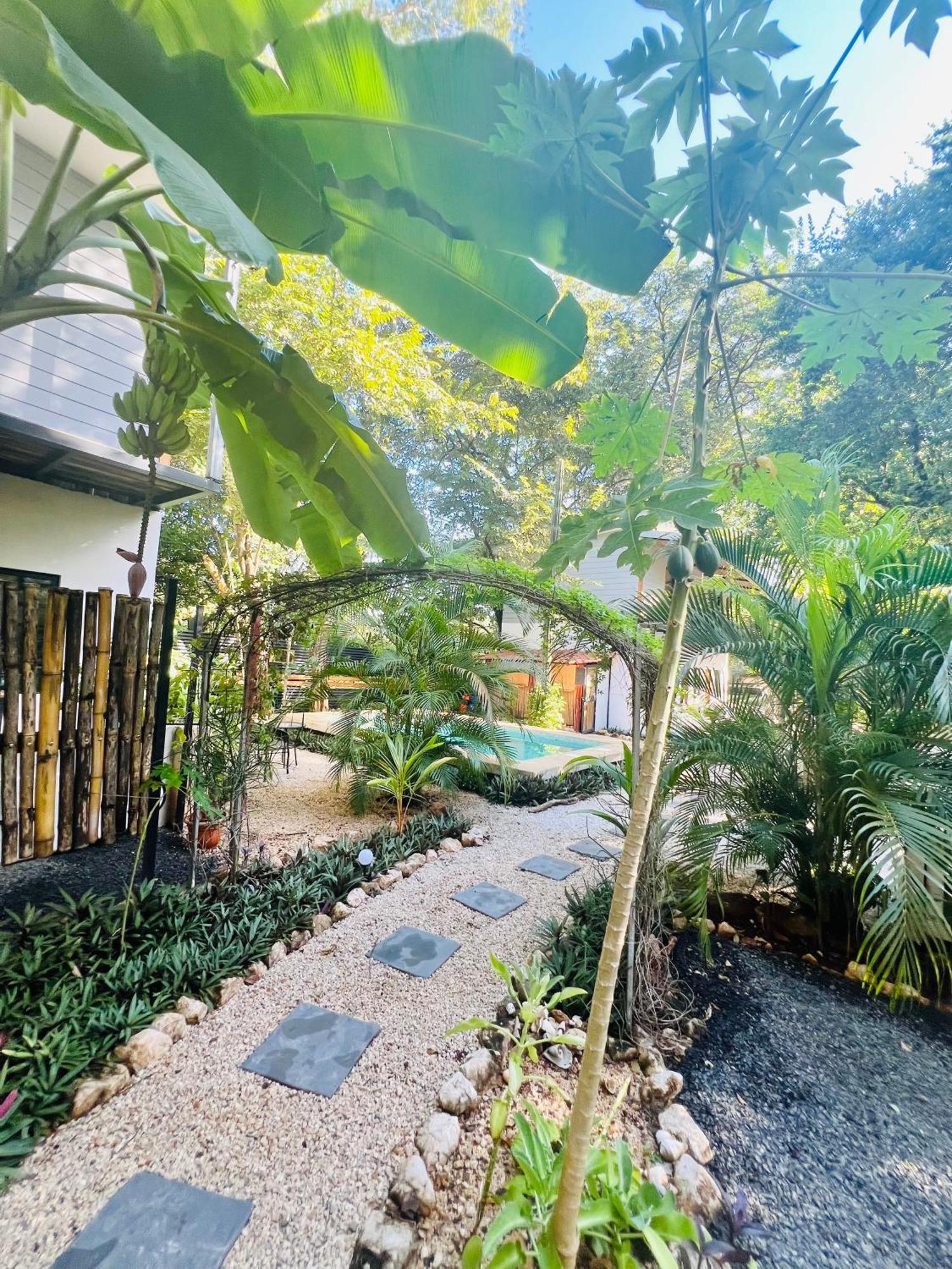 Calipso Ocean Lodge- Avellana Beach Hotel Плая-Авельяна Екстер'єр фото