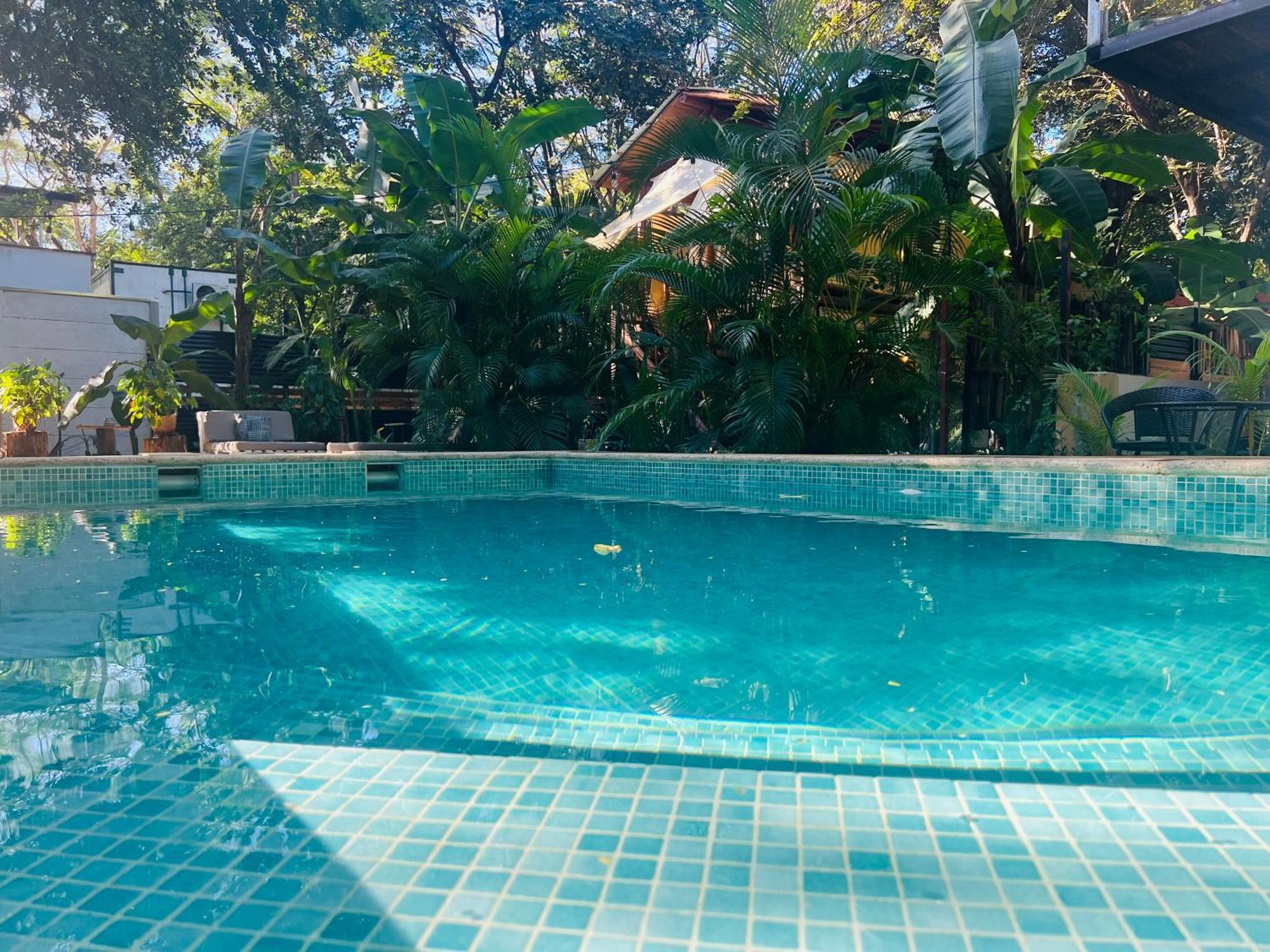 Calipso Ocean Lodge- Avellana Beach Hotel Плая-Авельяна Екстер'єр фото